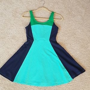 Express fit flare skater dress
